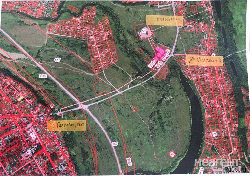 Фотография №3