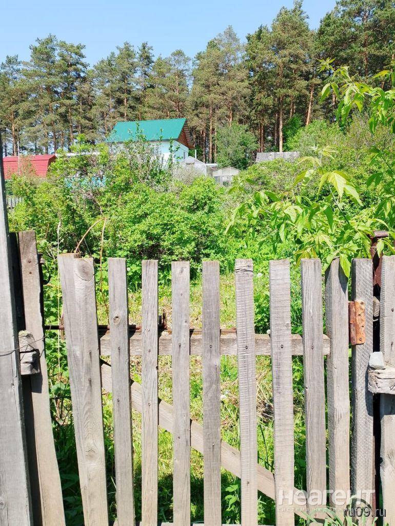 Фотография №2