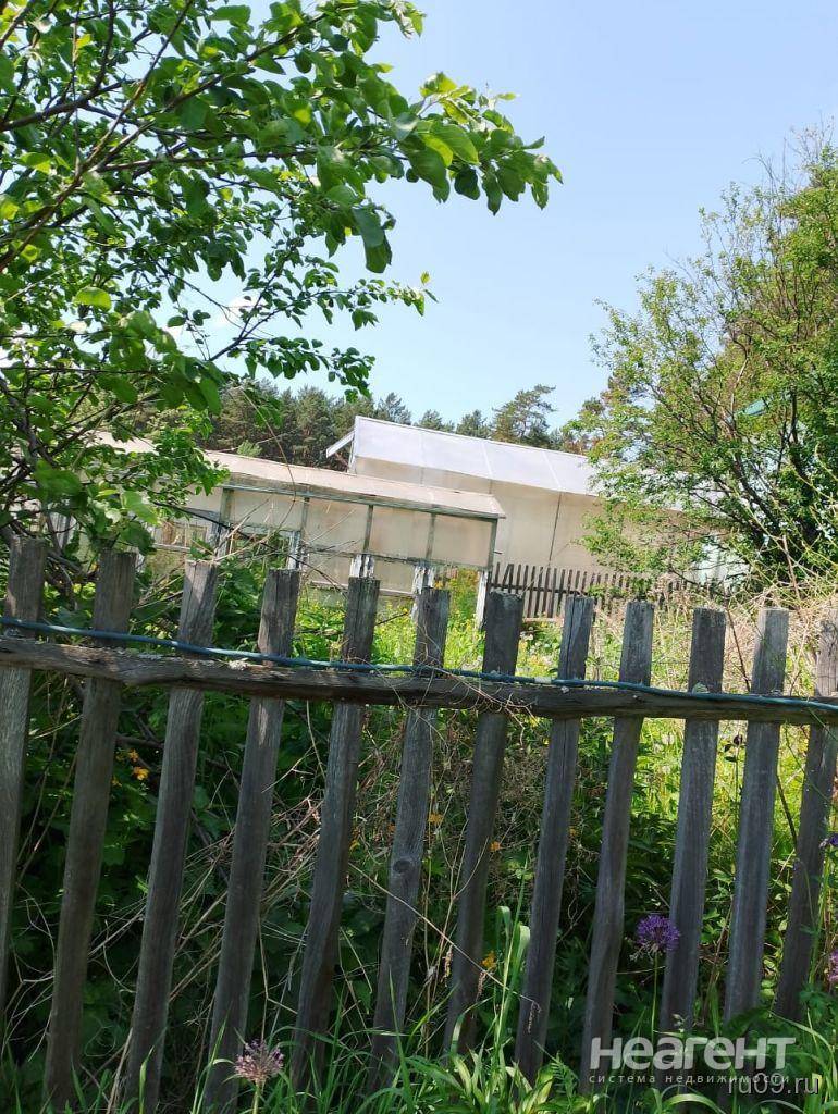 Фотография №3