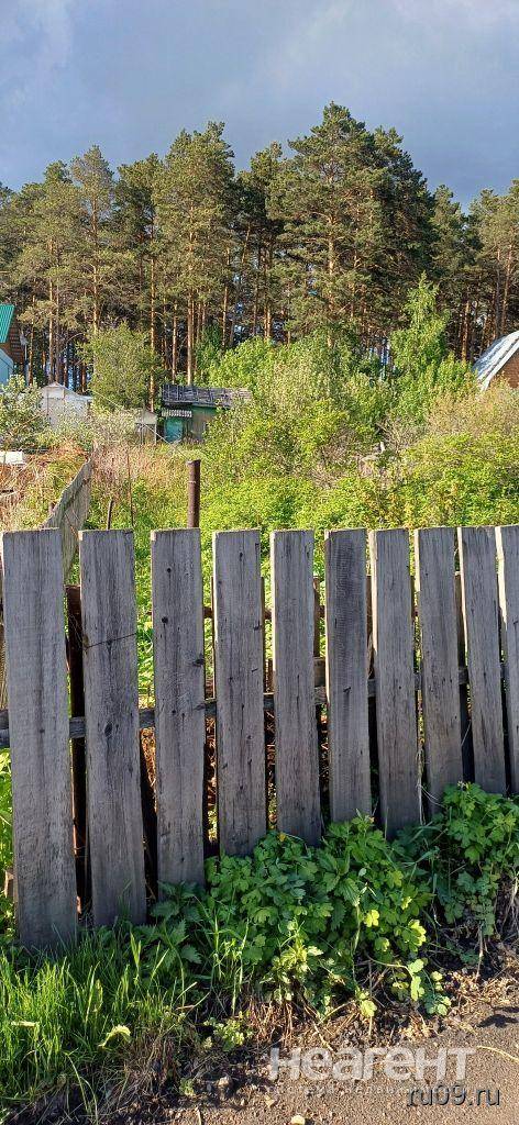 Фотография №4