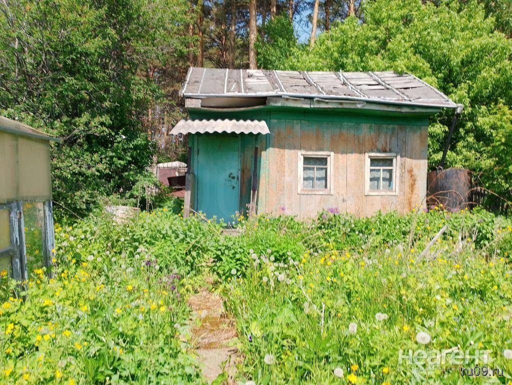 Фотография №5