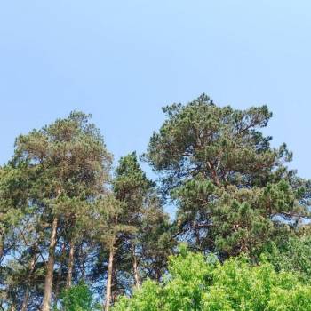 Продается Участок, 600 м²