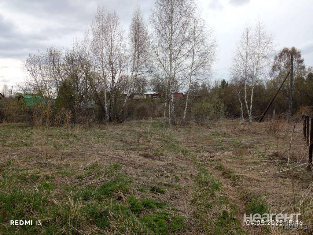 Фотография №3