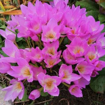 Продается Дом, 91 м²