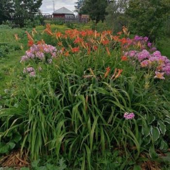 Продается Дом, 91 м²