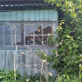 Продается Участок, 3000 м²