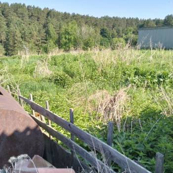 Продается Участок, 3000 м²