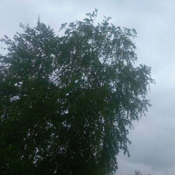 Продается Участок, 1500 м²