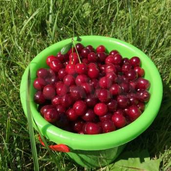 Продается Дом, 33 м²