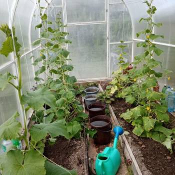 Продается Участок, 660 м²