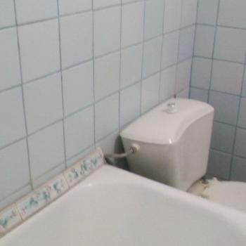 Сдается 1-комнатная квартира, 31,5 м²