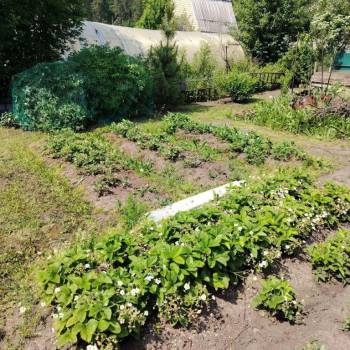 Продается Дом, 12 м²