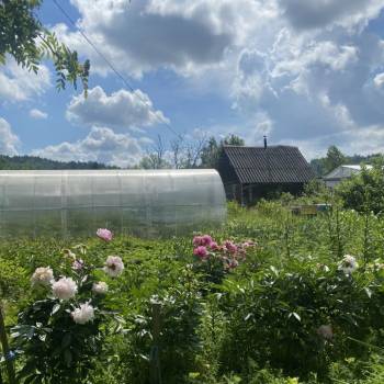 Продается Дом, 50 м²