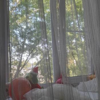 Сдается 2-х комнатная квартира, 40 м²