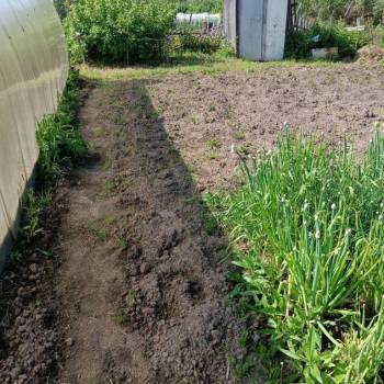 Продается Участок, 500 м²