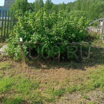 Продается Участок, 500 м²