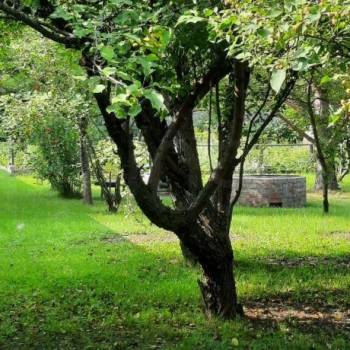 Продается Дом, 120 м²