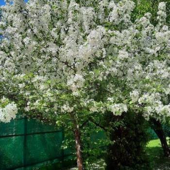 Продается Дом, 120 м²