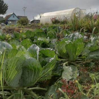 Продается Участок, 500 м²