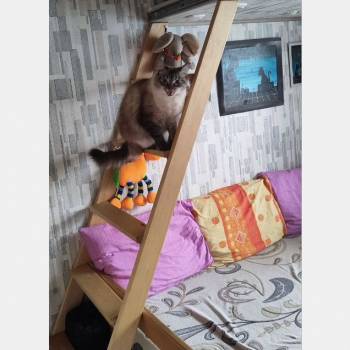 Продается 1-комнатная квартира, 15 м²