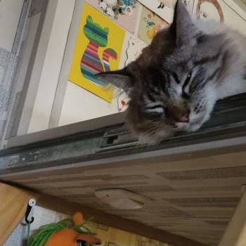 Продается 1-комнатная квартира, 15 м²