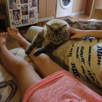 Продается 1-комнатная квартира, 15 м²