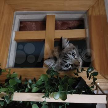 Продается 1-комнатная квартира, 15 м²