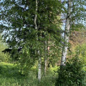 Продается Дом, 30 м²