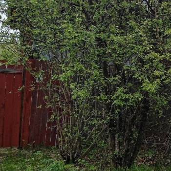 Продается Дом, 57 м²