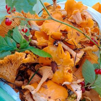 Продается Дом, 60 м²