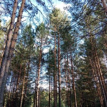 Продается Дом, 60 м²