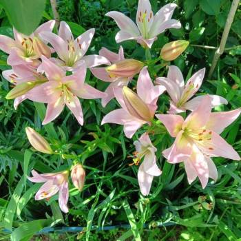 Продается Дом, 65 м²