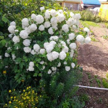 Продается Дом, 65 м²