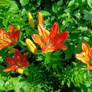 Продается Дом, 65 м²