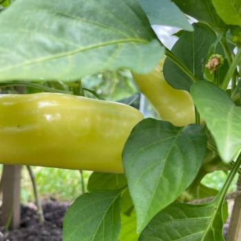 Продается Дом, 65 м²