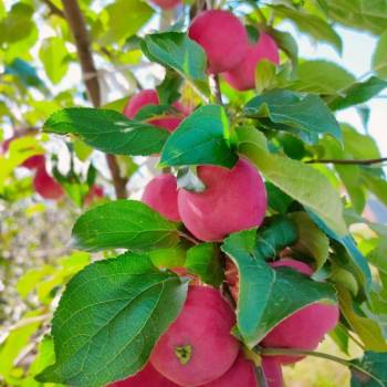 Продается Дом, 65 м²