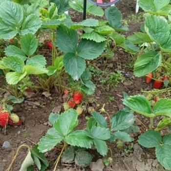 Продается Дом, 65 м²