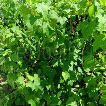 Продается Дом, 65 м²