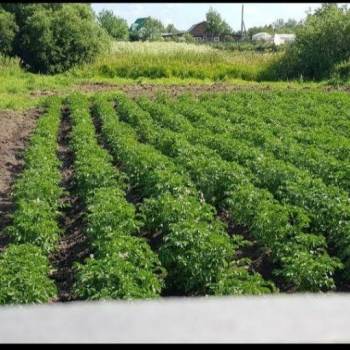 Продается Участок, 1200 м²