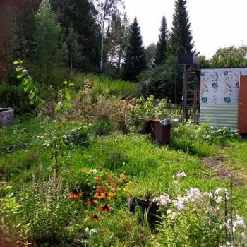 Продается Дом, 15 м²