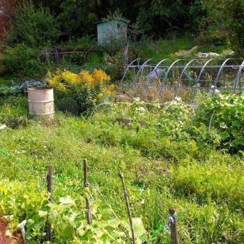 Продается Дом, 15 м²