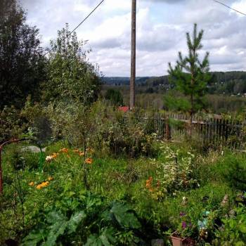 Продается Дом, 15 м²