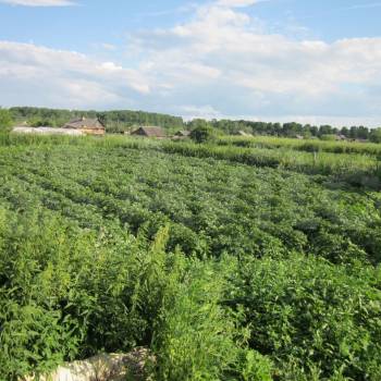 Продается Дом, 40 м²