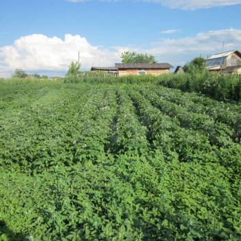 Продается Дом, 40 м²