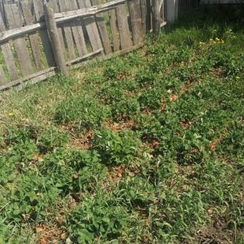 Продается Дом, 58 м²