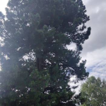 Продается Дом, 32 м²