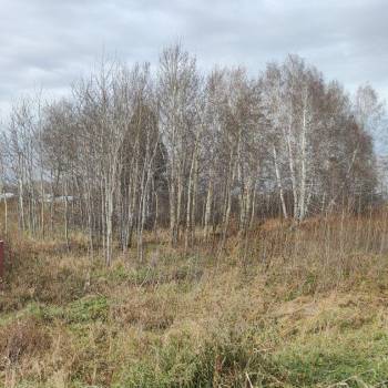 Продается Участок, 1100 м²