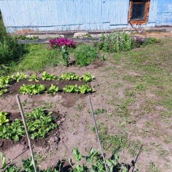Продается Дом, 72 м²