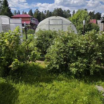 Продается Участок, 500 м²