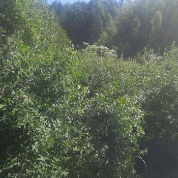 Продается Дом, 20 м²